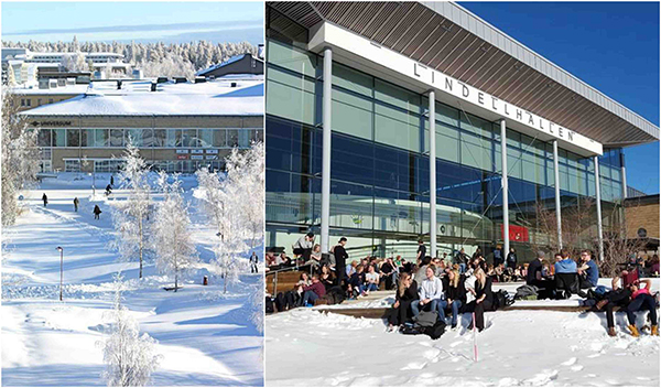 Foto: FB Umeå University