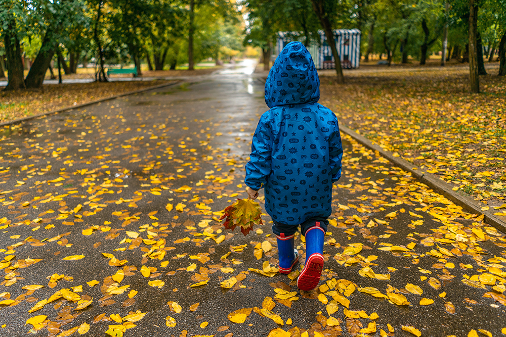 Zbierajte s deťmi listy v neďalekom parku či lesíku. / Foto: Pexels