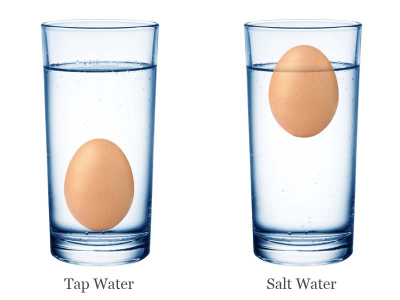 Pokus s plávajúcim vajíčkom / Zdroj: science4fun.com