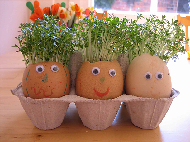 Vajíčkové kvetináče / Foto: nurturestore.co.uk