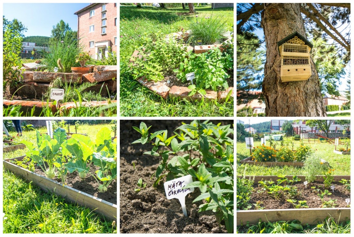  Komunitná záhrada Šafran vo Svite / Foto: Raiffeisen banka