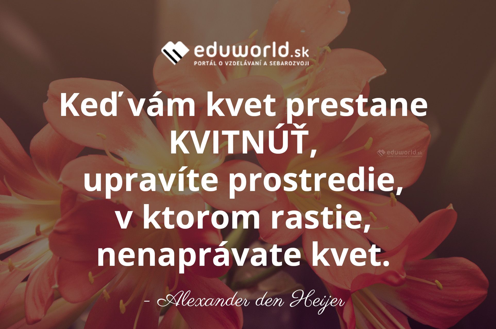 Keď vám kvet prestane KVITNÚŤ, upravíte prostredie, v ktorom rastie, nenaprávate kvet.\n- Alexander den Heijer