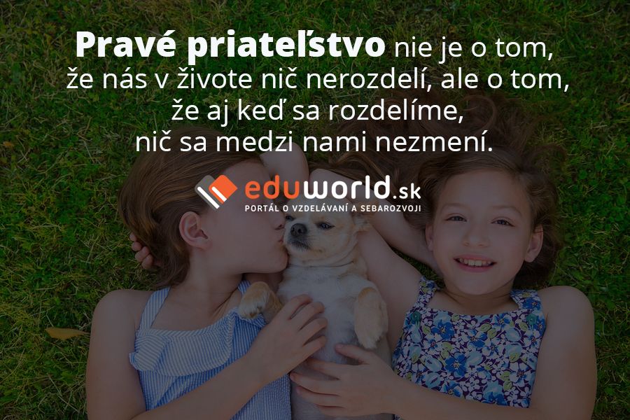 Pravé priateľstvo nie je o tom, že nás v živote nič nerozdelí, ale o tom, že aj keď sa rozdelíme, nič sa medzi nami nezmení. 