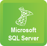 Microsoft SQL Server IV. Reporting Services