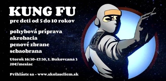 Kung fu pre  deti od 5 do 10 rokov - Devínska Nová Ves