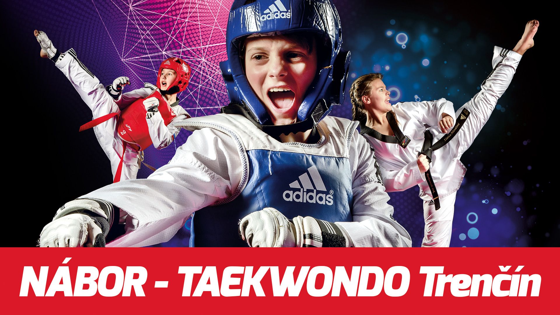 Taekwondo - olympijské bojové umenie