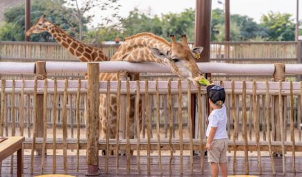 Najkrajšie ZOO na Slovensku i v jeho blízkom okolí