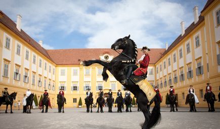 Veľká slávnosť koní na zámku Schloss Hof