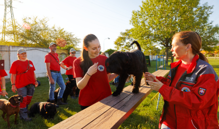 Máte nápad, ako zlepšiť svoje okolie? Tesco ponúka stovky eur na jeho realizáciu