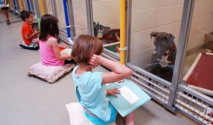 Deti čítajú v útulku opusteným psíkom
