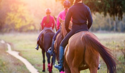 Hipoterapia - liečivá energia koní pomáha človeku