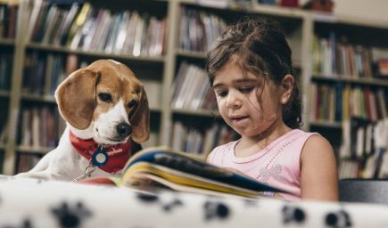 Aj psík dokáže podporiť čitateľské zručnosti dieťaťa. Ako je to možné?