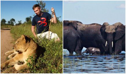 Nechcel presedieť roky v tej istej kancelárii. Dnes sprevádza ľudí po divokej Afrike