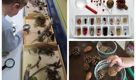 Jesenné pokusy – ako s deťmi môžeme skúmať svet okolo nás