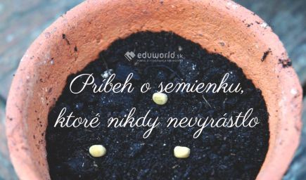 Príbeh na zamyslenie: Semienko, ktoré nikdy nevyrástlo