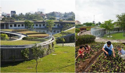 Moderná vietnamská farmárska škôlka učí deti pestovať vlastné jedlo