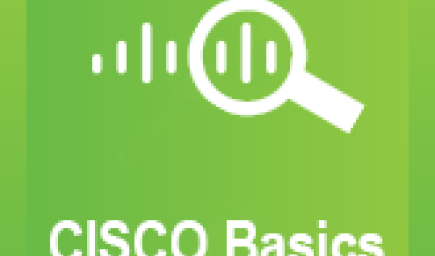 Cisco Basics
