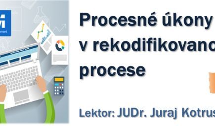 Procesné úkony účastníkov v rekodifikovanom civilnom procese