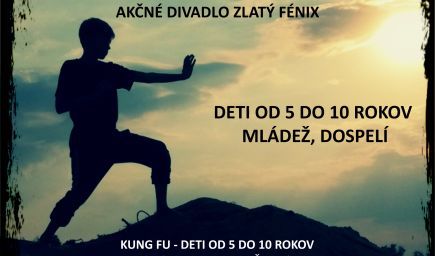 Kung fu pre mládež a dospelých