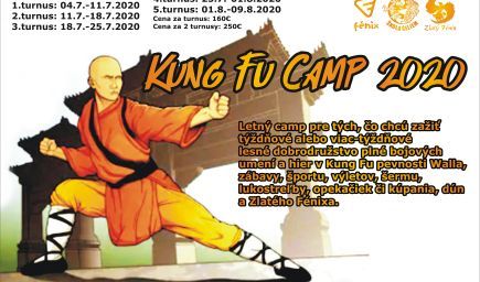 Kung fu camp 2020