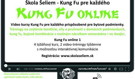 Kung fu online