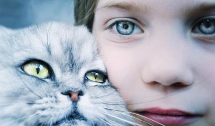 21 krásnych fotografií detí a ich mačacích miláčikov