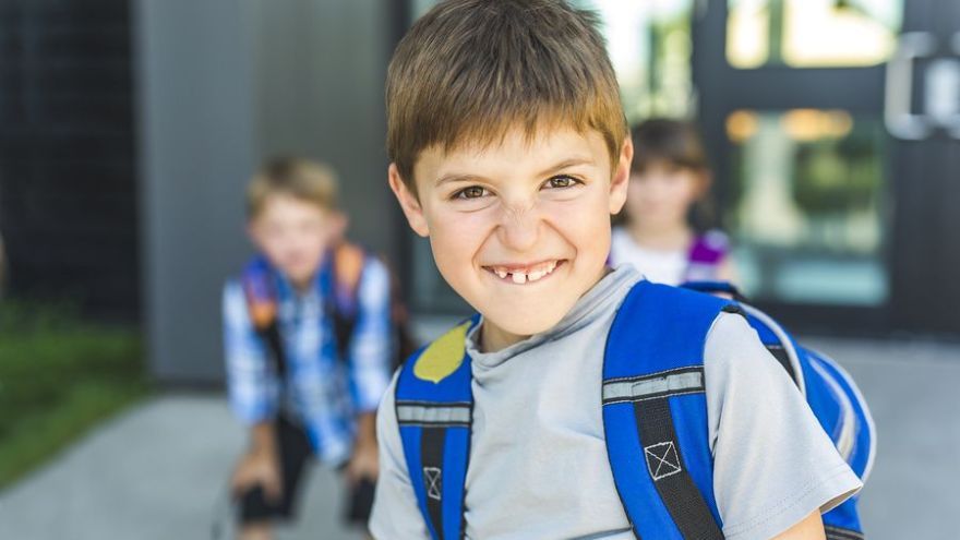 Dieťa potrebuje hranice. Je to potrebné z hľadiska jeho správneho fyzického i duševného vývinu, pretože samo ešte nedokáže zhodnotiť, čo je pre neho  prospešné, čo je správne a vhodné a nevie ani rozumne posúdiť informácie, ktoré sa k nemu dostávajú.