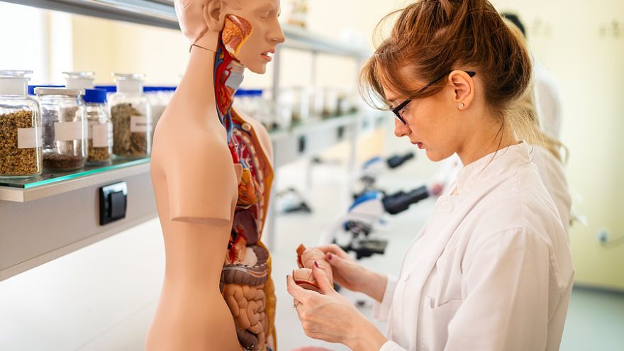 Študenti medicíny budú pomáhať v núdzových nemocniciach, aby lekári zvládli nápor pacientov.