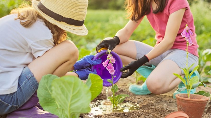 Environmentálna výchova bude na školách povinná.