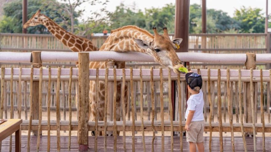 Spoznajte najzaujímavejšie zoologické záhrady u nás i našich blízkych susedov. 