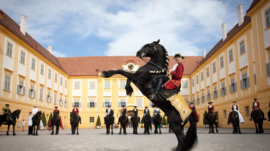 Slávnosť koní na zámku Schloss Hof