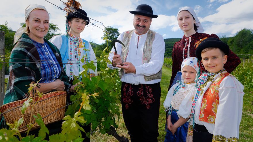 Grantový program Tesca -  Vy rozhodujete, my pomáhame otvoril novú výzvu, v ktorej môžete získať finančnú podporu.