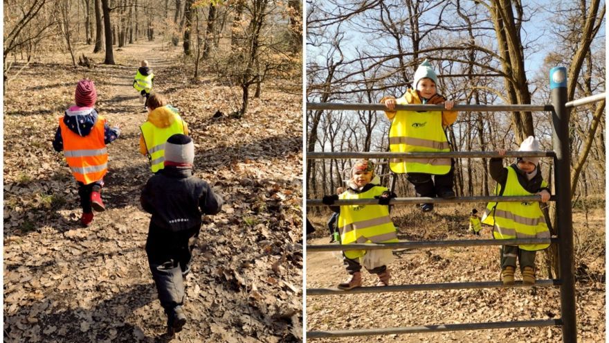 Pohybom ku zdraviu? Bratislavskí škôlkari začínajú rána behom cez les a zdolávaním prekážkových dráh