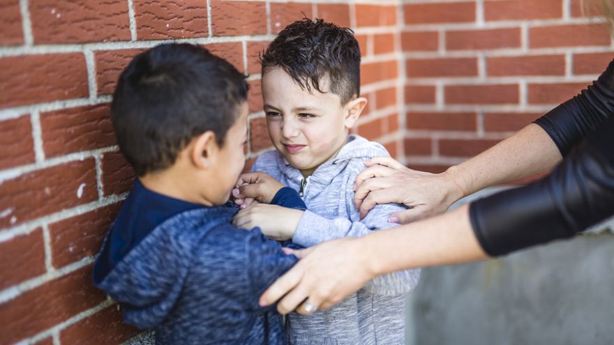 Vedci zistili, že agresivita sa veľmi často používa ako prostriedok na dosiahnutie dominantného postavenia s cieľom získať kontrolu či ochrániť si postavenie.