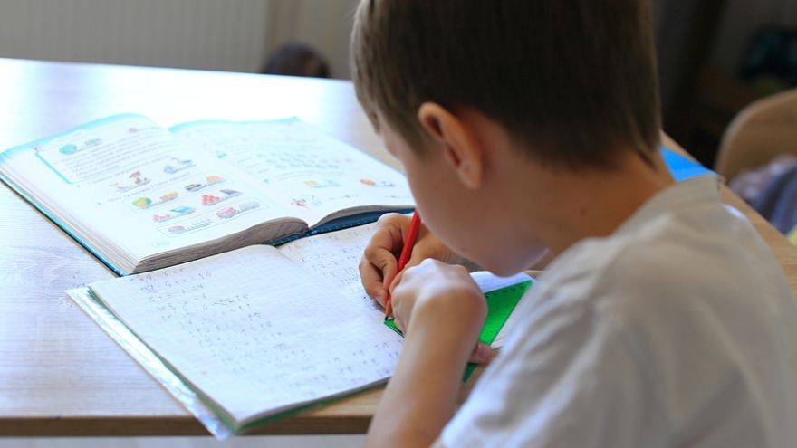 Vysokoškoláci majú pomôcť zvládnuť učivo žiakom základnej školy počas pandémie ochorenia COVID-19.