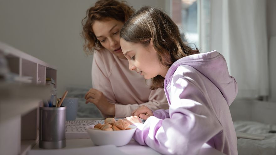 Individuálne vzdelávanie, teda vzdelávanie \"doma\", by sa mohlo umožniť aj žiakom druhého stupňa základných škôl. 