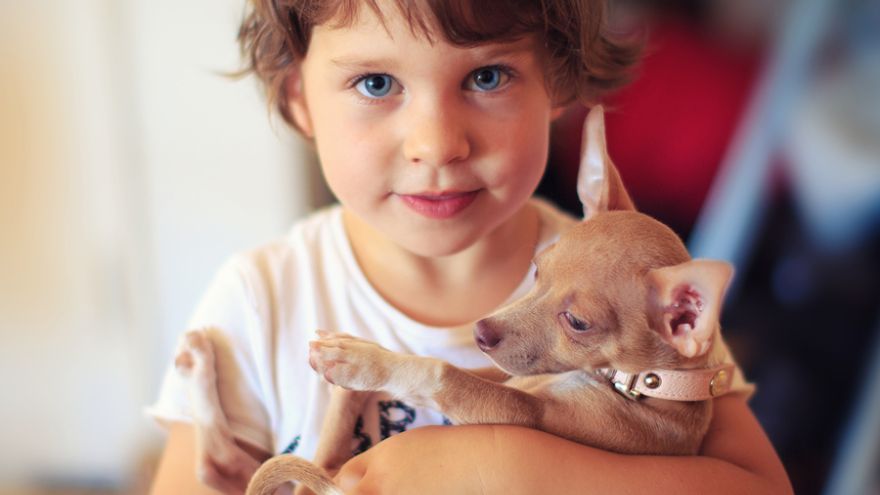 Deti a zvieratá bývajú nerozluční kamaráti. Pravidlá bezpečnosti však netreba podceňovať.