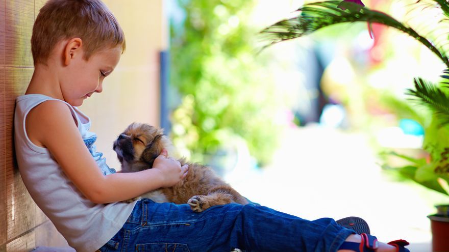 Britský výskum na malej skupine 12-ročných detí priniesol zistenia, že deti majú silnejší vzťah ku svojim zvieratkám ako ku ich súrodencom.