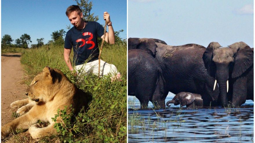 Nechcel sedieť roky v tej istej kancelárii. Keď ukončil bakalára na vysokej škole, rozhodol sa spraviť niečo veľké. Požiadal o prácu turistického sprievodcu. Netušil však, že sa dostane až do ďalekej a tak nádhernej Afriky. 