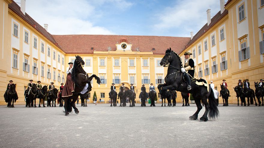 Schloss Hof  - slávnosť koní