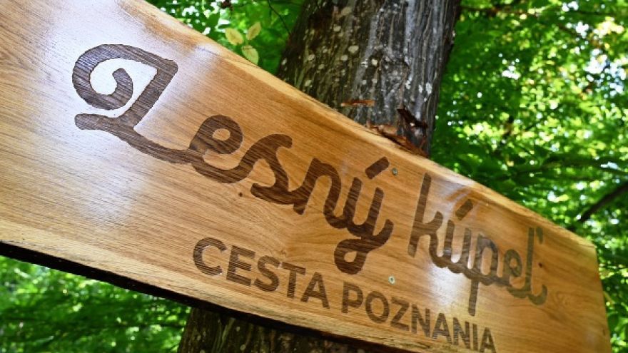 Lesný kúpeľ pre turistov organizuje napríklad krajská organizácia Košice región turizmus v lesoch Vinianskeho jazera.