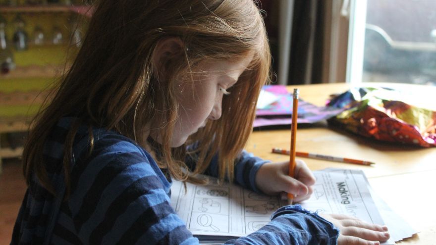 Študenti pedagogických a príbuzných odborov budú pomáhať vzdelávať žiakov základných škôl buď individuálne, alebo skupinovo.