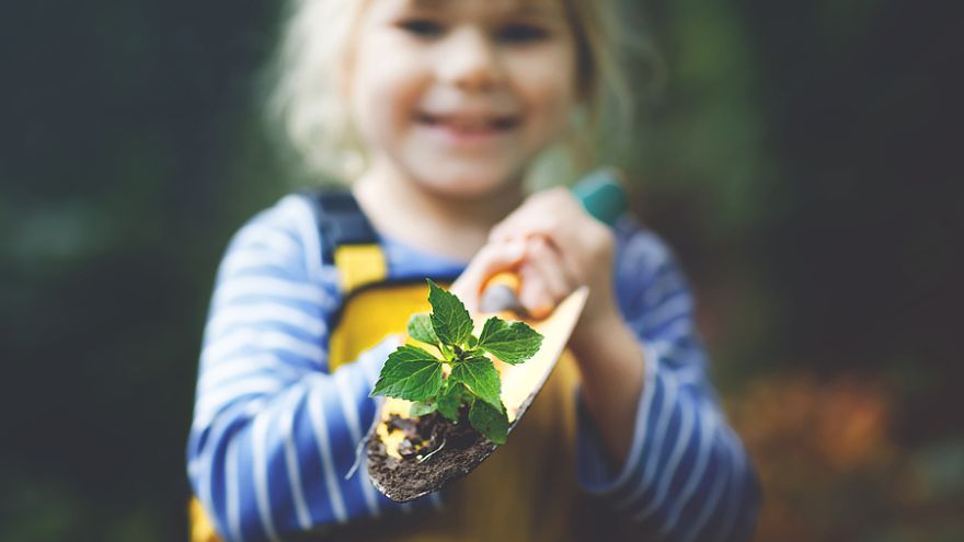 Najlepší spôsob, ako vzbudiť záujem dieťaťa o záhradničenie, je vymedziť malú časť záhrady, ktorá bude patriť len jemu a bude ho môcť premeniť na svoje malé kráľovstvo. 