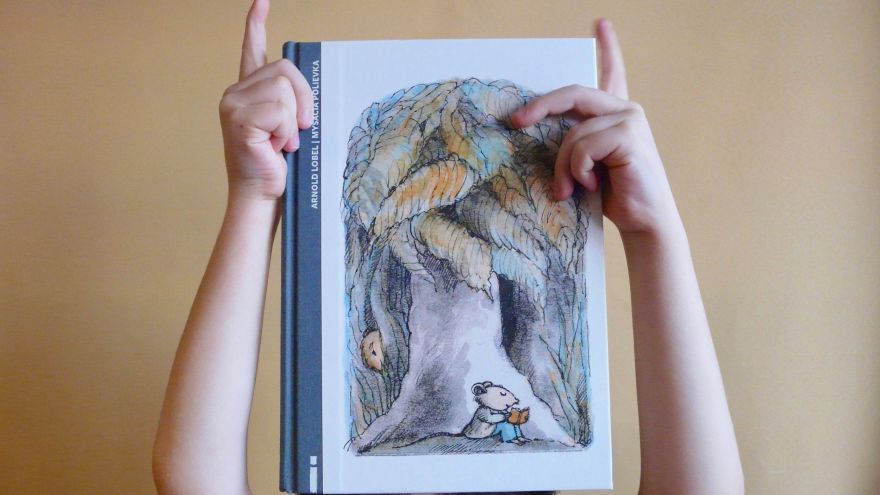 Myšacia polievka od Arnolda Lobea je ideálny príbeh buď pre deti od približne štyroch rokov alebo ako prvé samostatné čítanie pre prváčikov.