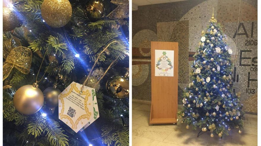 Univerzitný stromček prianí poteší opäť na Vianoce vďaka študentom množstvo ľudí. 