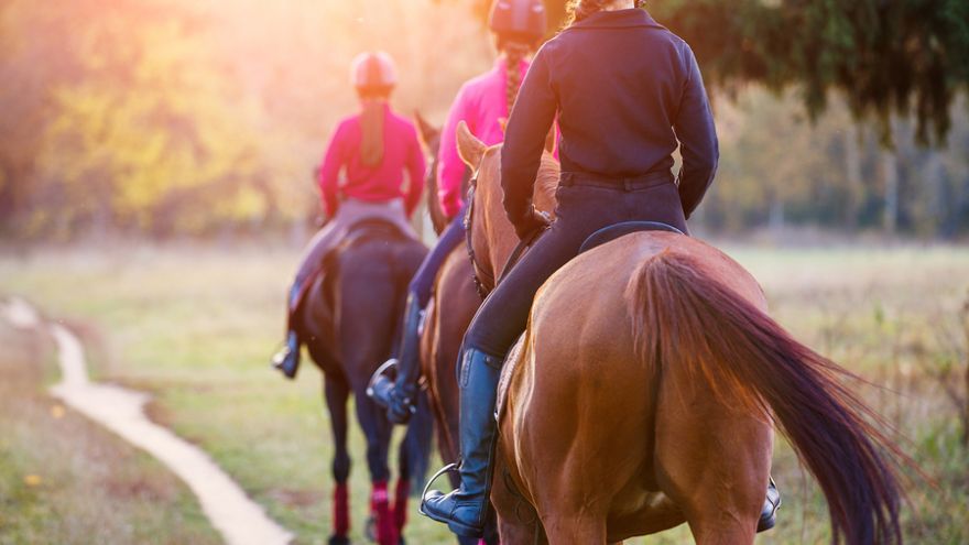 Hpoterapia je liečba pomocou aktivít spojených s koňom.