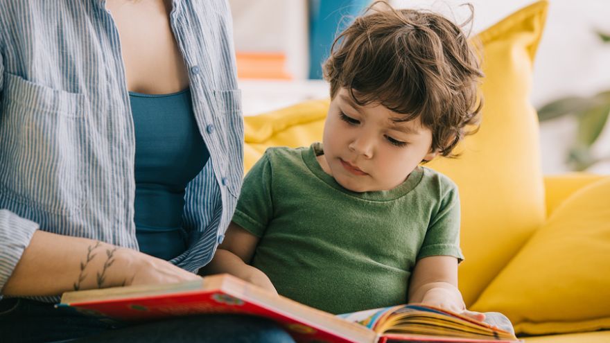 Predčitateľská gramotnosť predchádza osvojeniu schopnosti dieťaťa čítať a písať.