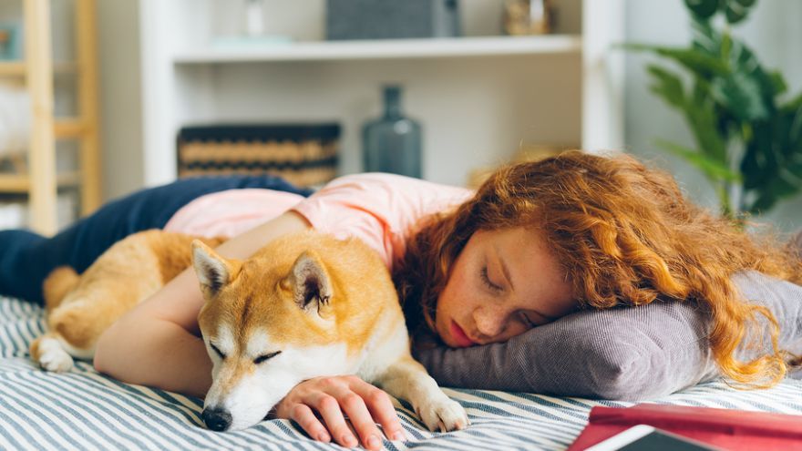 Zdravé spánkové návyky sú životne dôležité zručnosti, ktoré priamo súvisia s mnohými činnosťami, ktoré dieťa počas dňa robí. 