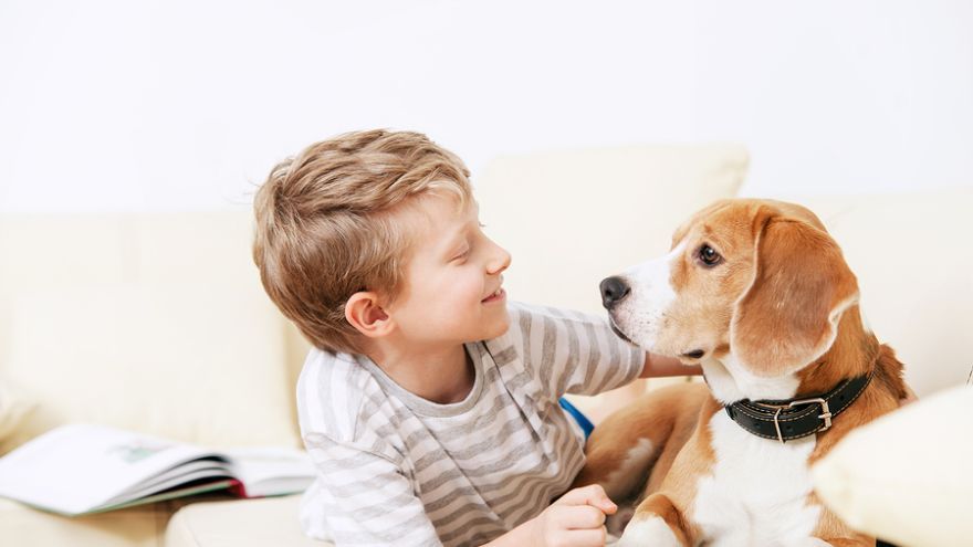 Deti, ktoré vyrastajú so psíkom, si vytvárajú prirodzený vzťah k prírode a zvieratám, sú citlivejšie a ohľaduplnejšie. Rodičia však musia vedieť správne odhadnúť čas, kedy je vhodné dieťaťu psa zaobstarať.