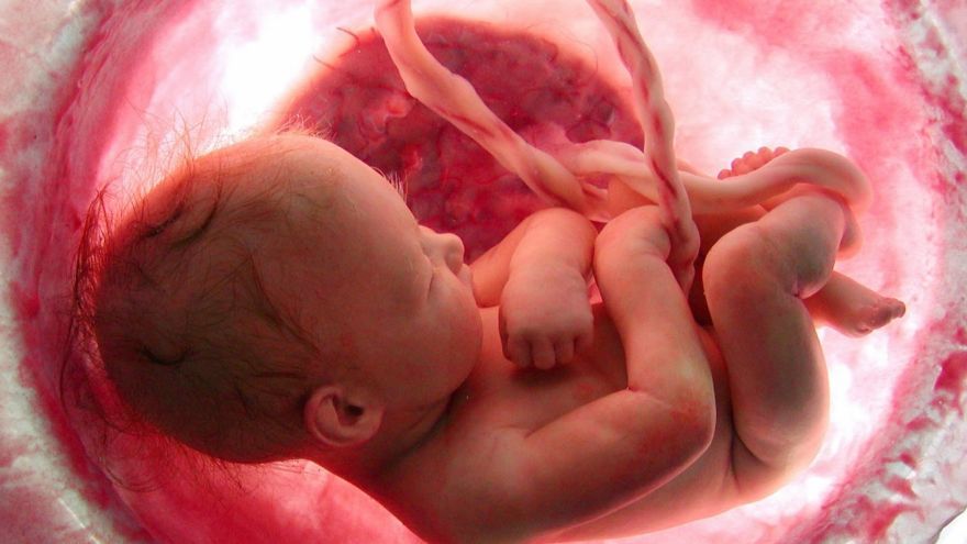 Vedci po prvý krát v histórii našli príčinu, prečo najčastejšie dochádza u žien k opakovaným potratom. 